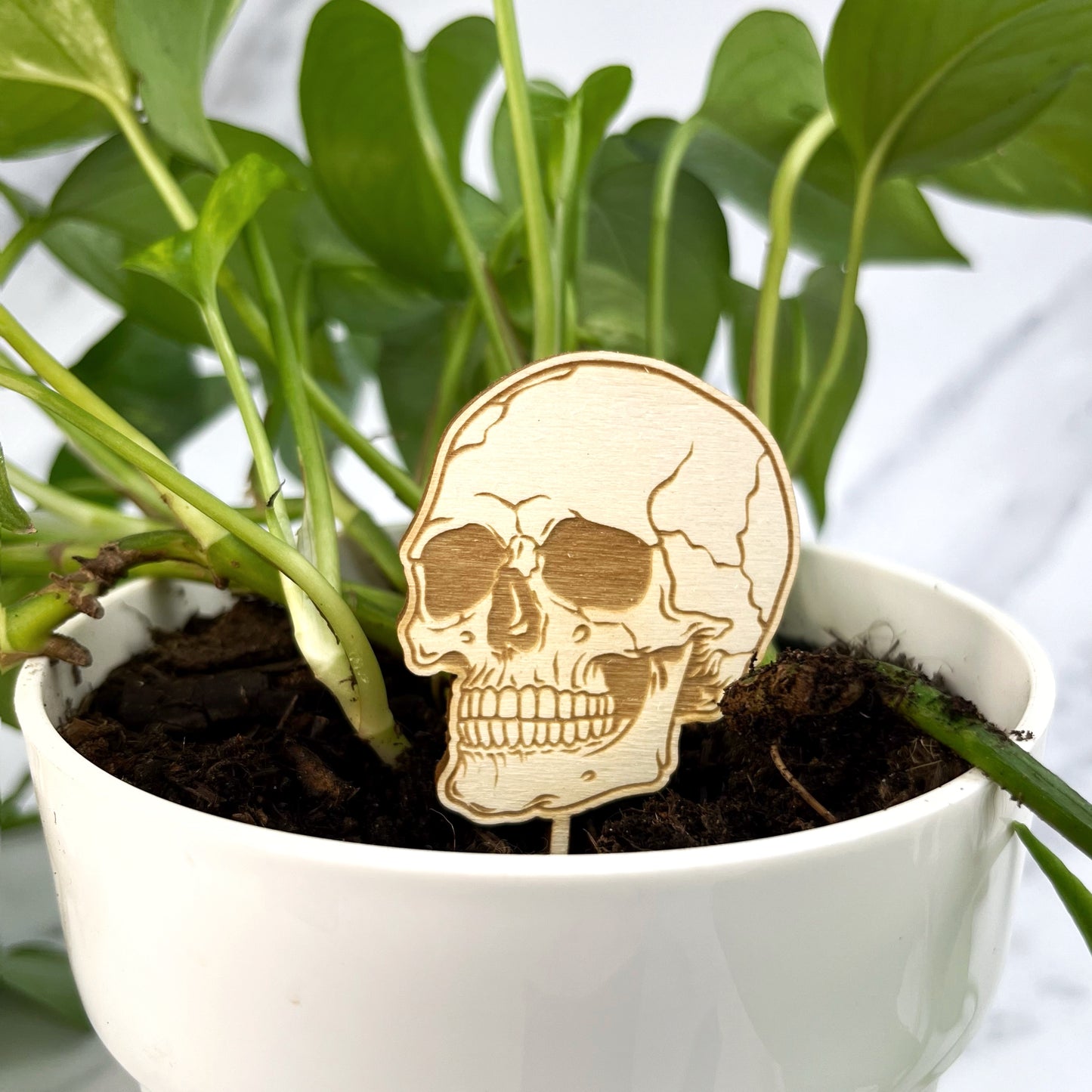 Spooky but cute wooden Halloween plant pot stakes. Designed and laser engraved by The Bespoke Workshop