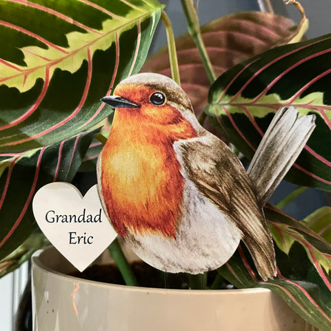 Personalised Printed House Plant Mini Robin with Stake